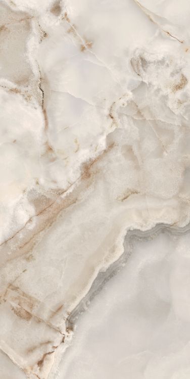 Reves Noisette Matte 24 x 48